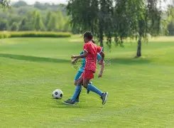 快船,优势解析,世界杯下注,世界杯下注,2026世界杯,下注策略,赔率分析,赛事投注