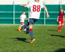 波特撤步三,分助雄鹿连,开启,世界杯下注,2026世界杯,下注策略,赔率分析,赛事投注