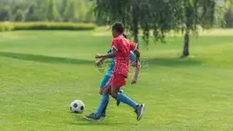 快船11战9胜，优势解析